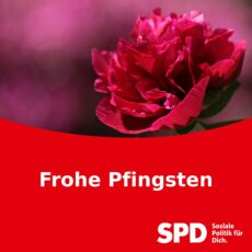 Frohe Pfingsten